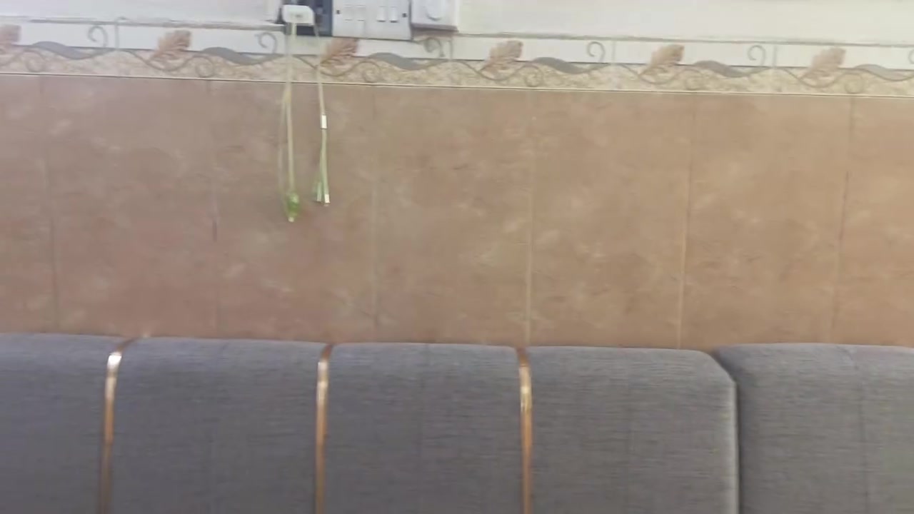 السلام عليكم
تخم للبيع
سبلت الأحمر عطلان للبيع
وسبلت الأبيض يشتغل ٣طن ٢٠٢١
وقنينات ٢ لايلون للبيع
بوفيه متره ونص للبيع
الاستفسار على الرقم ***********
العنوان بغداد
