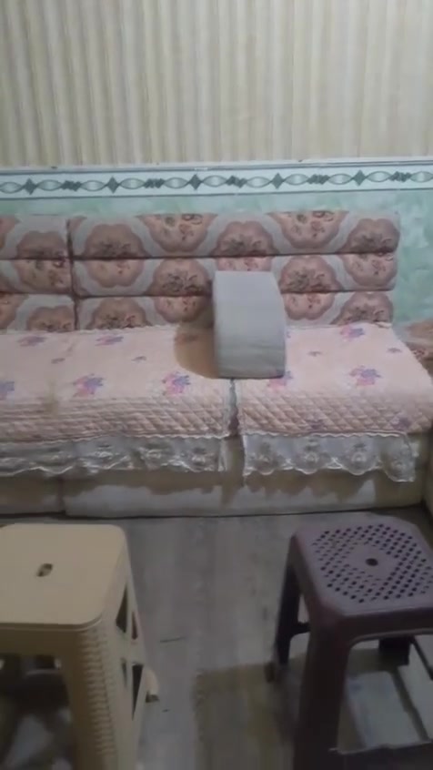 ديوان • نضيف • ميسان