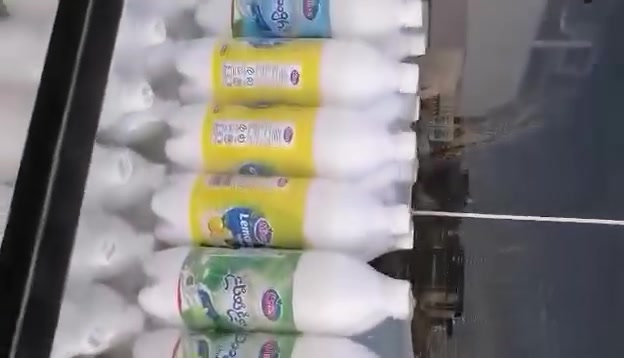 عدد ٦ • بطل • سيد عباس الغرابي