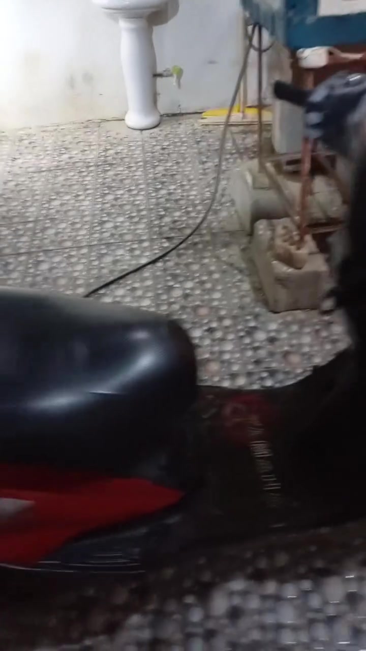 ماكس ثعلب • محرك بلادي • كلها شغاله