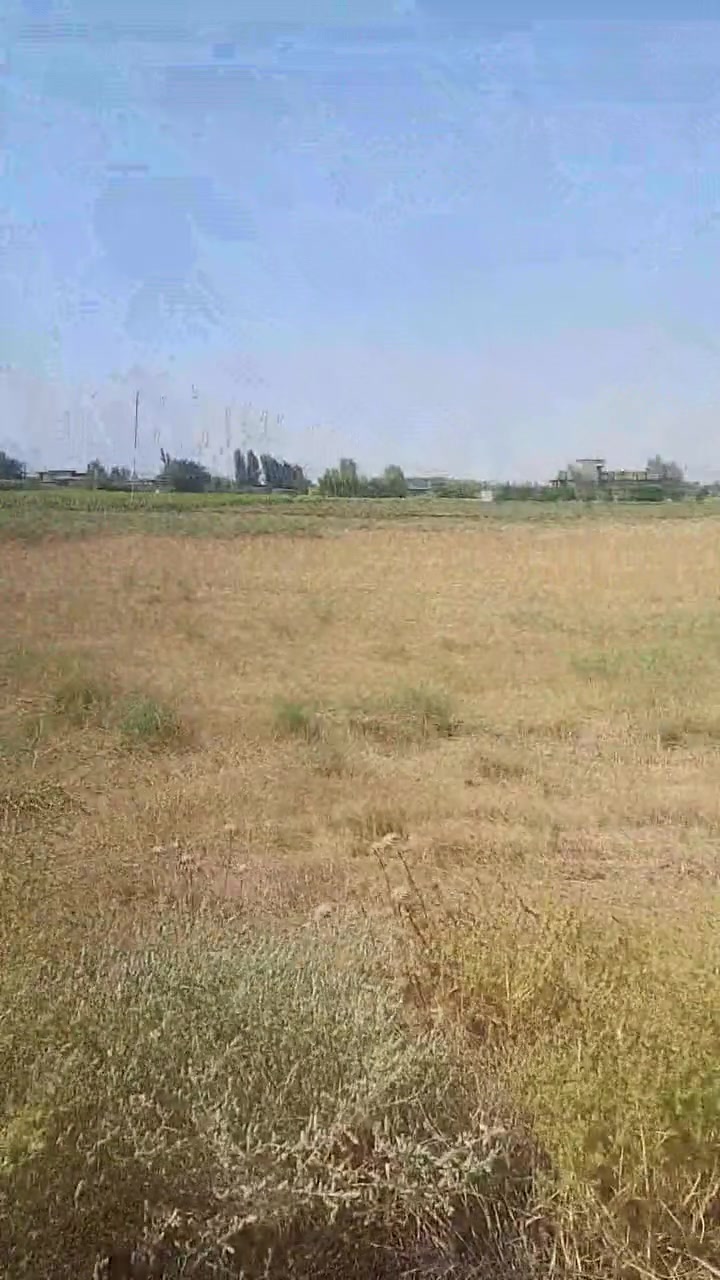 ارض لبيع مساحة دونمين اليوسفية معمل زينب يوجد ماء وكهرباء وسحب ومادرس وتبليط يبعد 100,متر عنهة ***********
