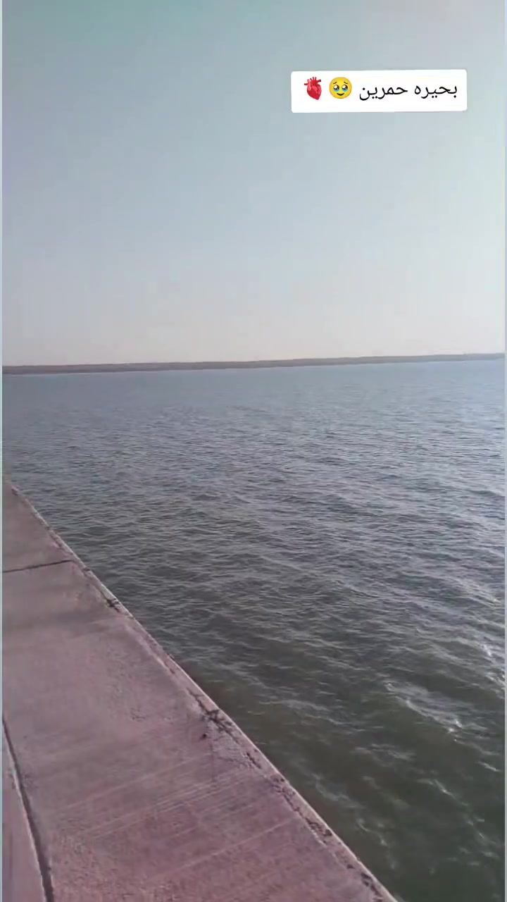 دايوان • ٢٠٢٥ • مكفوله