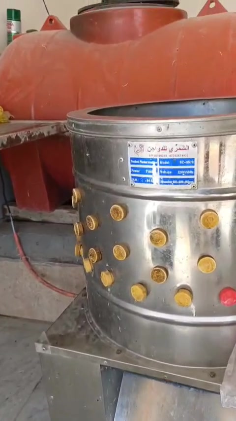 هلاسه دجاج • مستعملة • كربلاء الحولي