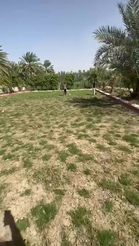 10 دونم بستان نخل وحمضيات حمال خير من الله مواصفات فول يحتوي على فله و32 كامره مراقبه مسيجه بكامل الصويره للاستفسار على رقم ***********
