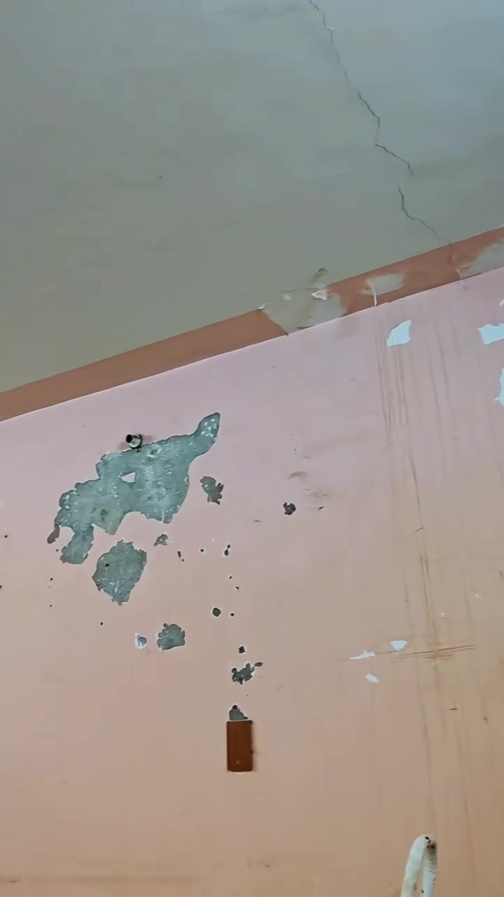 العمارة • اصباغ • معالجة رطوبة