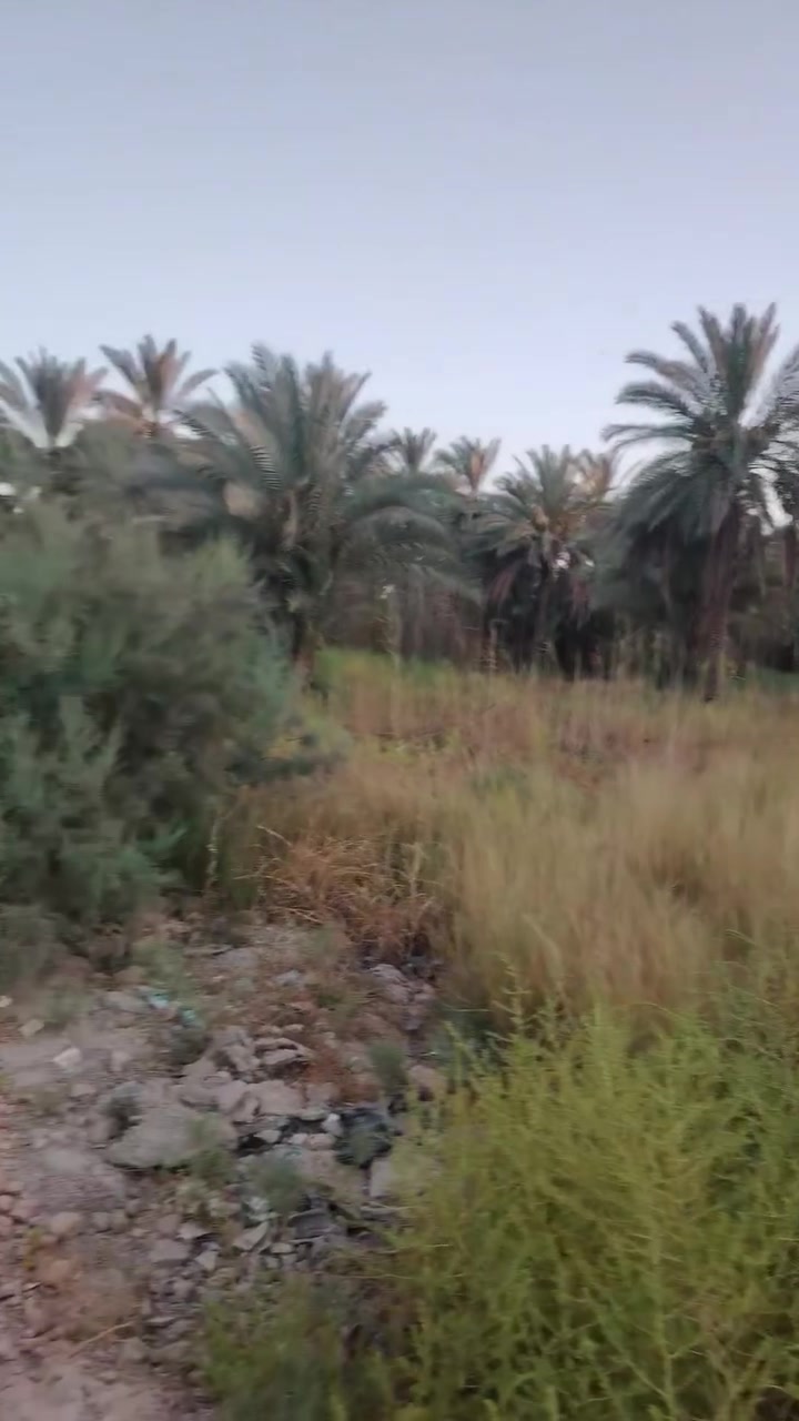 يالله اليوم عدنه نص دونم ١٢٥ مللبيع وجه ٢٧ والباقي نزال إقرار محكمه
السعر المطلوب ٨٥ مليون مع المجال
العنوان كربلاء الحسينيه العطيشي طريق السيده زينب عليها السلام
الاستفسار أتصال *********** زيد التميمي واتساب ***********
