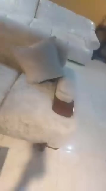 تخم تسكام درجة اولى الله شاهد ورسولة قبل اسوبع اخذهت بس بيتي كلش ضيك اخذتهن بمليون واريدهن ب900 وبيهن مجال مستعجلة على بيعتهن مكاني بغداد البلديات***********
