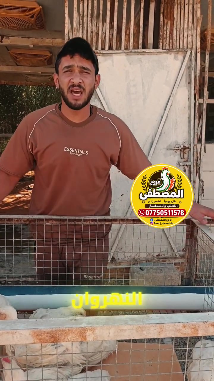 🎉 بمناسبة افتتاح فرعنا الثاني، سوينالكم خصومات مميزة من 5% إلى 25% 🔥
📩 أرسل رسالة واحصل على خصمك مجاناً!

🍗 فروج المصطفى — الجودة والطعم اللي تحبوه ❤️

📍 العنوان: النهروان، سوق الأولى، مقابل مدرسة النعيم
📞 للطلب والاستفسار: ***********

🔥 ننتظركم ونفرح بوجودكم ويانا!
