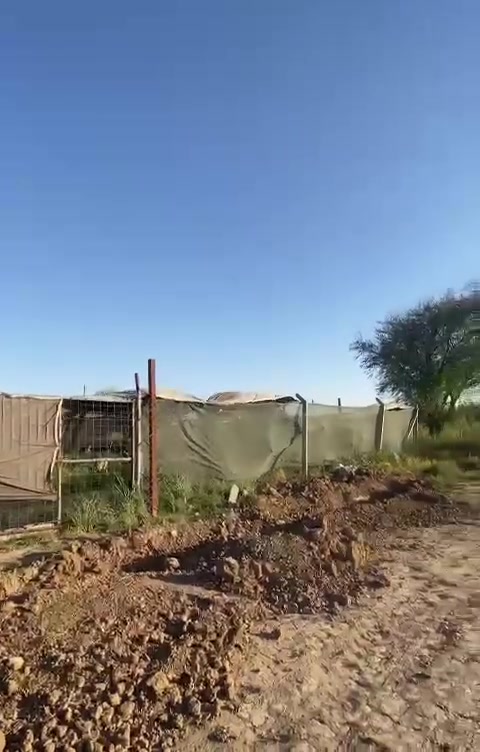 البوعيثه • ٥٧٦م • سند ٢٥