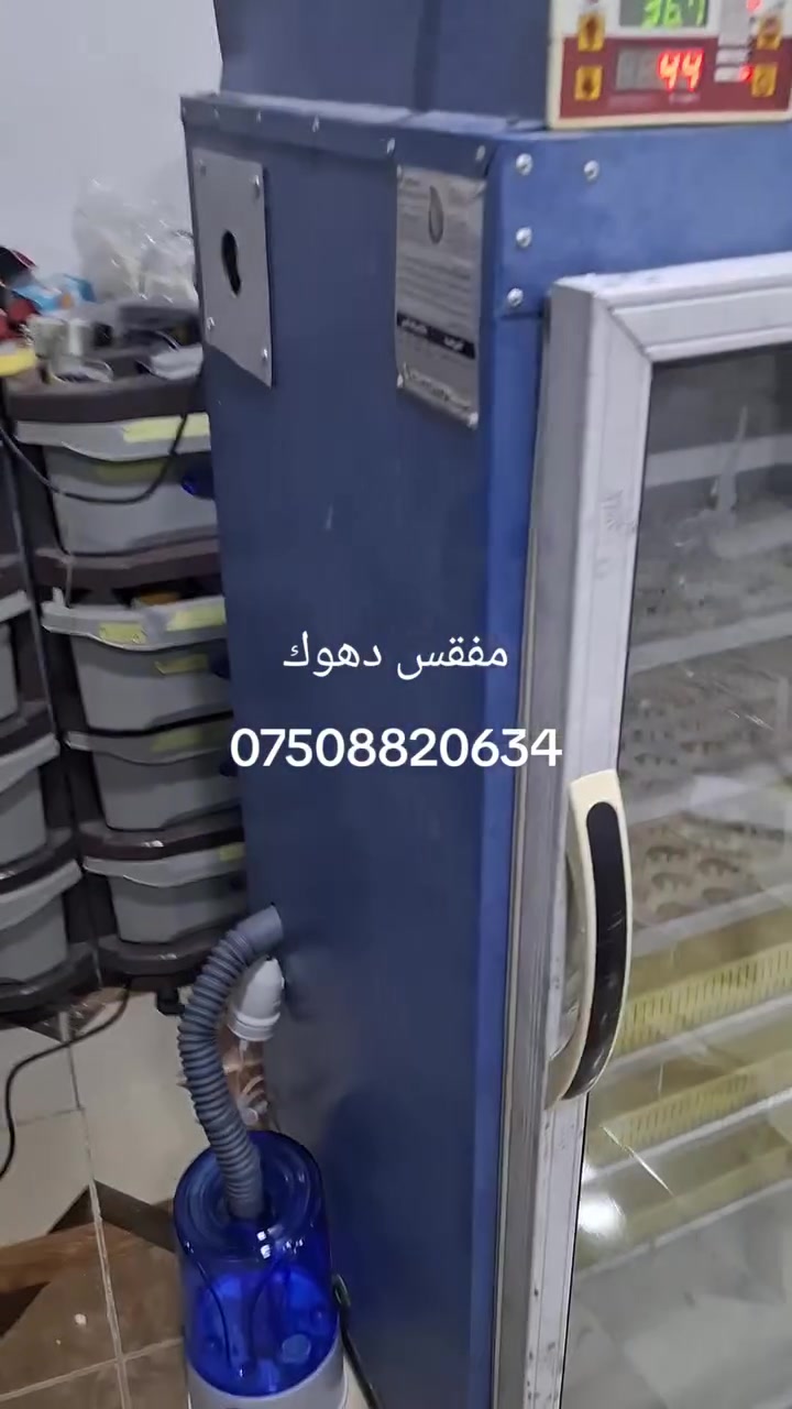سلاف بوجیکەرن مەفەقەسا هیکا
هەر جورە کی مەفەقەسا داخازبکی ئەمە دشین جیکەین باشترن شیوە هەمی امیرن مەفەقا لەبەر دەشتی مەەنە هەرکەسەکی بەفیت دشیت لە دەفەمە لدەست خوفە بیت 
هین دشین یە یوەندیی بفی ژمارە بکەت...***********
***********
جهی مە لە دهوکی یە

السلام عليكم مستعدون لعمل جميع انواع واحجام مفاقس البيض ويتوفر لدينا جميع ادوات المفاقس 
العنوان دهوك
رقم مبايل ***********
***********

ملاحضه:غير متواجد علی الفيسبوك#فايده_دوميز_دهوك #شاريا_خانكي_بعدري_شيخكا_ختاري_ #بعدري_شيخان_شاريا_شنكال_شيخكا_بعشيفة #دهوك_زاخو_سليماني_ئاكري_ئامیدی_هولیر #الشعب_الصيني_ماله_حل😂😂

