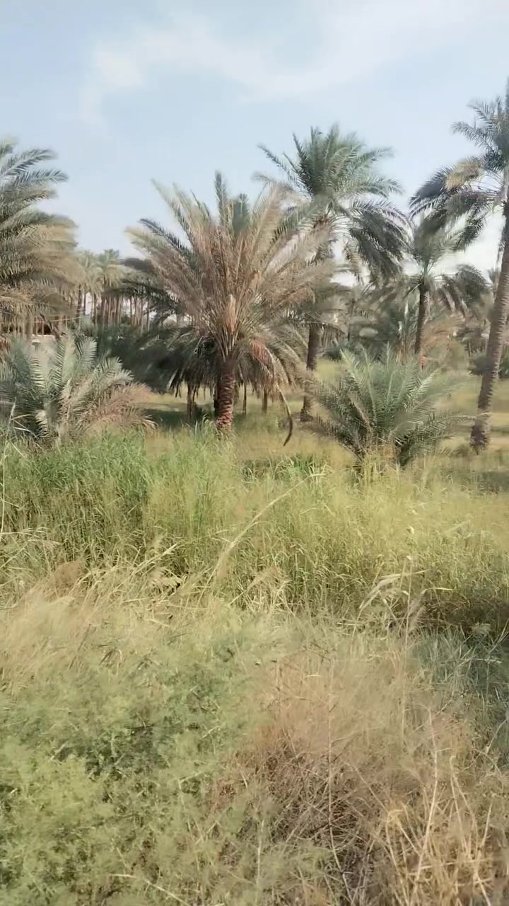 طابو صرف • ١٥ دوم • نهر دجله