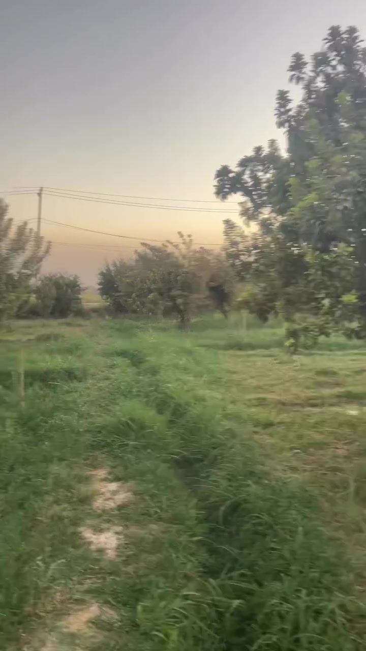السلام عليكم مزرعه للبيع طابو زراعي (مساحه  دونم )(ماء 💧 بير  حلو + مي اساله  كهرباء ⚡️ ع تبليط بيه حضيره حيوانات  عنوان شهابي  خارج موضفين    >< سعر 50 ()()()قابل للتفاوض لاستفسار ‭***********‬
