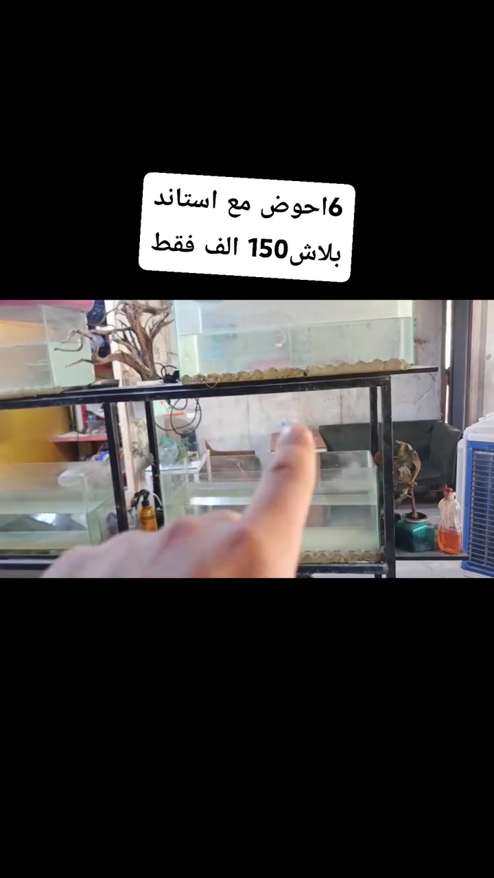 ‏متوفر لدينا
عررض
6 احواض مع استاند

السعر 150 لف

‏العنوان
‏بغداد البنوك شارع الميثاق
‏
‏***********
‏***********
‏ يوجد توصيل
‏بغداد 5 الف
‏محافظات 6 الف
‏
‏صفحتنا على الفيس بوك
‏
‏https://www.facebook.com/share/g/12EhHj3hWMj/
‏
‏صفحتنا على الانستا 
‏https://www.instagram.com/qwi7811?igsh=MTczcTNla2FkdjM1MQ==
‏
‏صفحتنا على التيكتوك
‏https://www.tiktok.com/@94q55?_t=ZS-8tuh7tCpdBv&_r=1
‏
‏صفحتنا على الواتساب
‏
‏https://whatsapp.com/channel/0029VbBnx05KLaHlJpZtEa01
‏
‏
‏............................
‏موقعنا في البنوك
‏
‏https://maps.app.goo.gl/hjBDjyWZyuZWvivK8?g_st=ac
