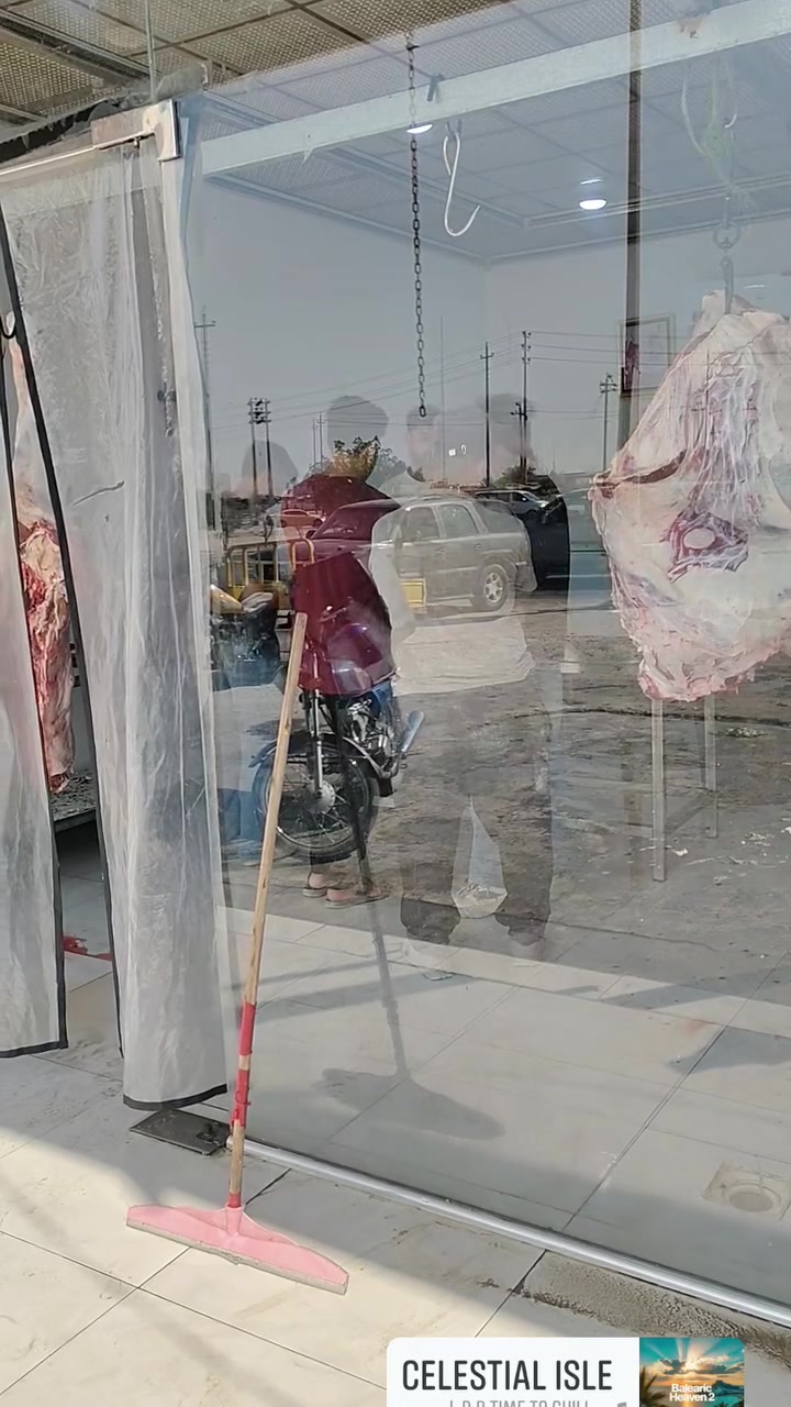جزارة المدينة لحم عجل عراقي ذبح يومي مرتضى القصاب
رقم هاتف ***********
