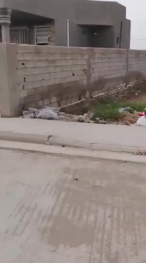 حي الدلفية • ٣٦٠م² • مساحة ٢٨×٣م