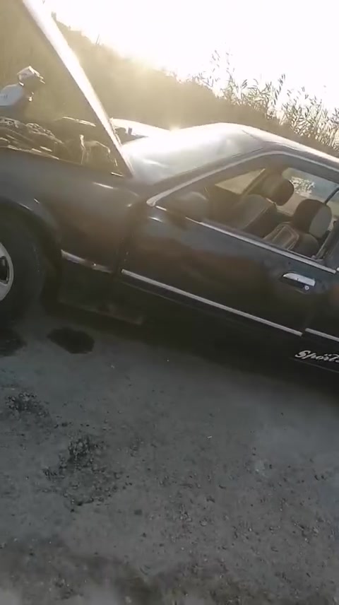 السلام عليكم ورحمه الله وبركاته برنس فراشه للبيع كير ومكينه خير من الله باتري جديد السياره خير من الله صدرهه 80بل ميه رقم انبار الماني تحويل مباشر وكشرهه كدامكم مكانهه بغداد ت***********
ت***********السعر 23وبيهه مجال
