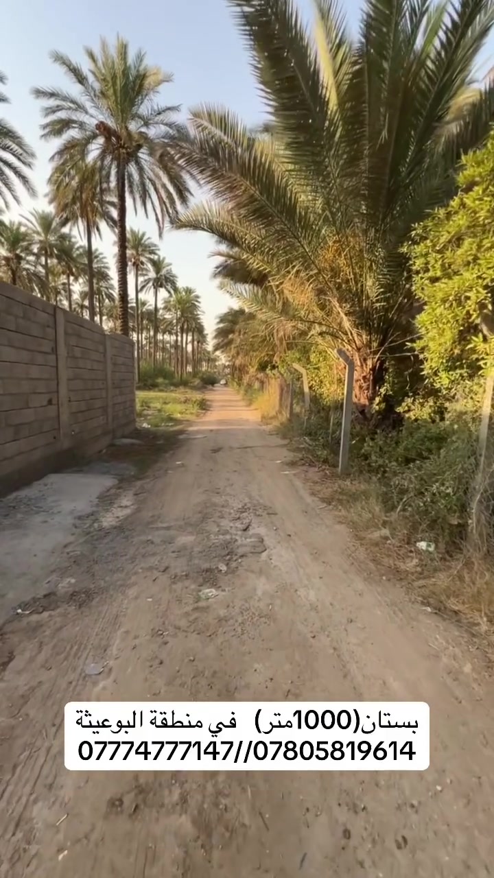 � للبيع بستان مميز – 1000 متر

📍 الموقع: الدورة البوعيثة 
بستان بمساحة 1000 متر
وجه 34 متر × نزال 30 متر

✨ موقع مناسب للاستثمار والسكن
✨ مساحة مرتبة وقابلة للاستفادة بأكثر من مشروع
✨ فرصة ممتازة لمن يبحث عن بستان بمساحة مناسبة

📞 للاستفسار التواصل :
***********
***********
 #الحمدالله #العراق #استثمار #بغداد #البوعيثة
