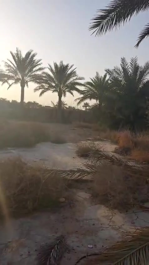 الكرمه قرب الحلبوسي • ١٠٤٧م • شارع ١٠م