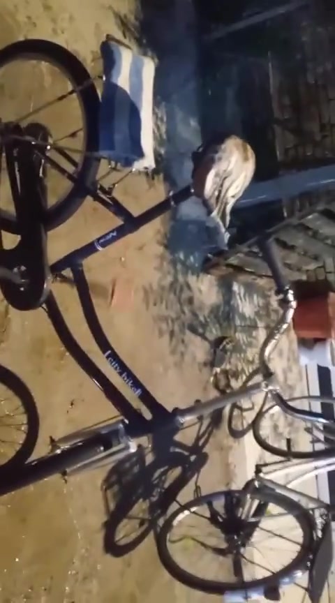 السلام عليكم
بايسكل بناتي حجم 20

نضيف شخطه ما بي تجي وتشوفه بعينك وتقيم

تجي ويا مداكرا ثنيهن الخلفي وال امامي

السعر 50 وبي مجال حك جيتك فقط.

المكان ميسان العماره الجمعيات 

الرقم ***********
