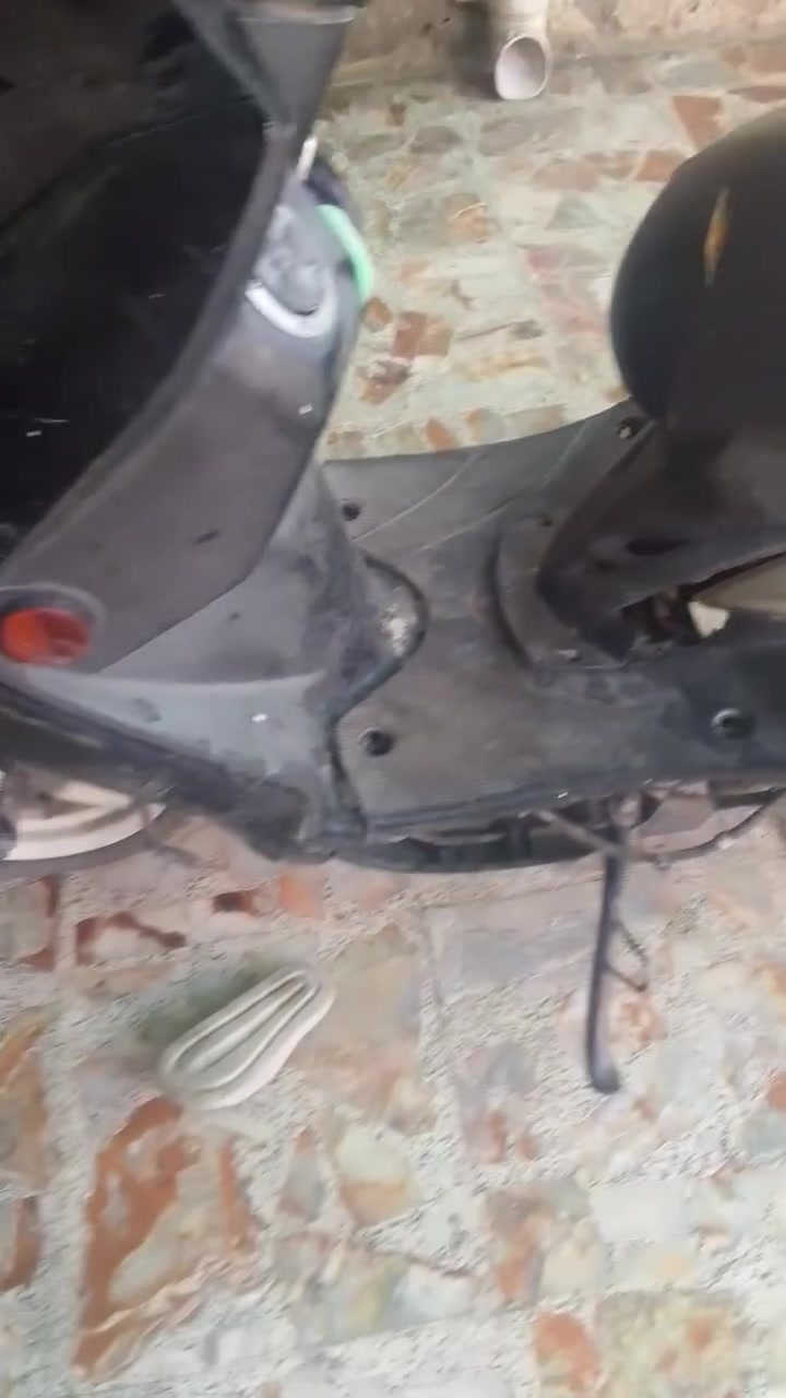 سلام عليكم سكنس فحل ام الطلعات مكينه خير من الله بس الكفرات تعبانه ابيع على الوجود *********** حي اور قرب جامع الفردوس
