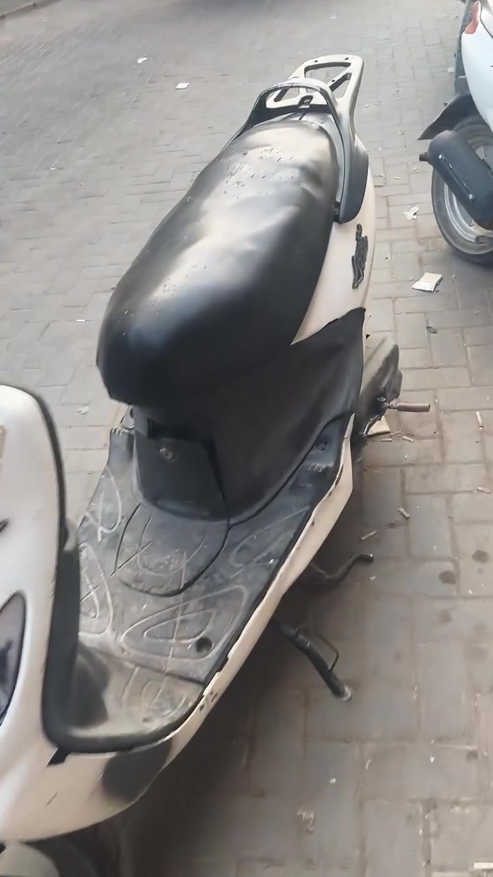 دولفين • السماوه