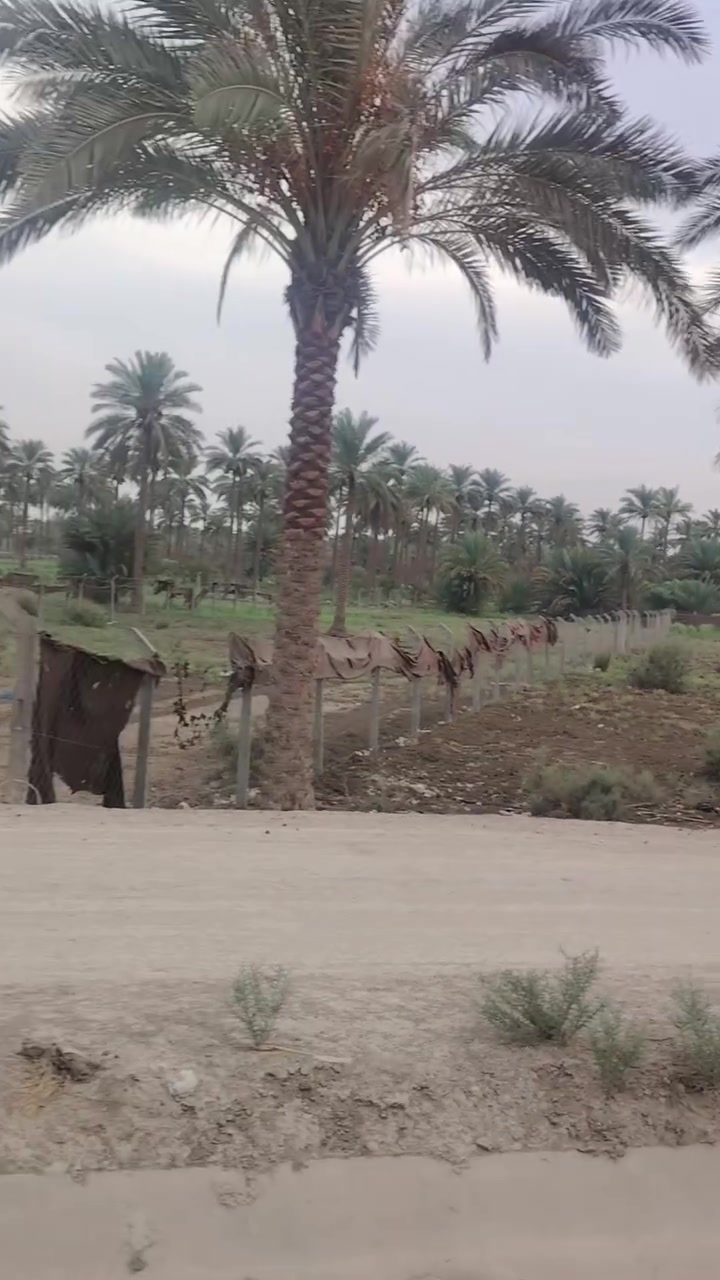 طويريج الرشيده • دونمين • واجهة ٨٥