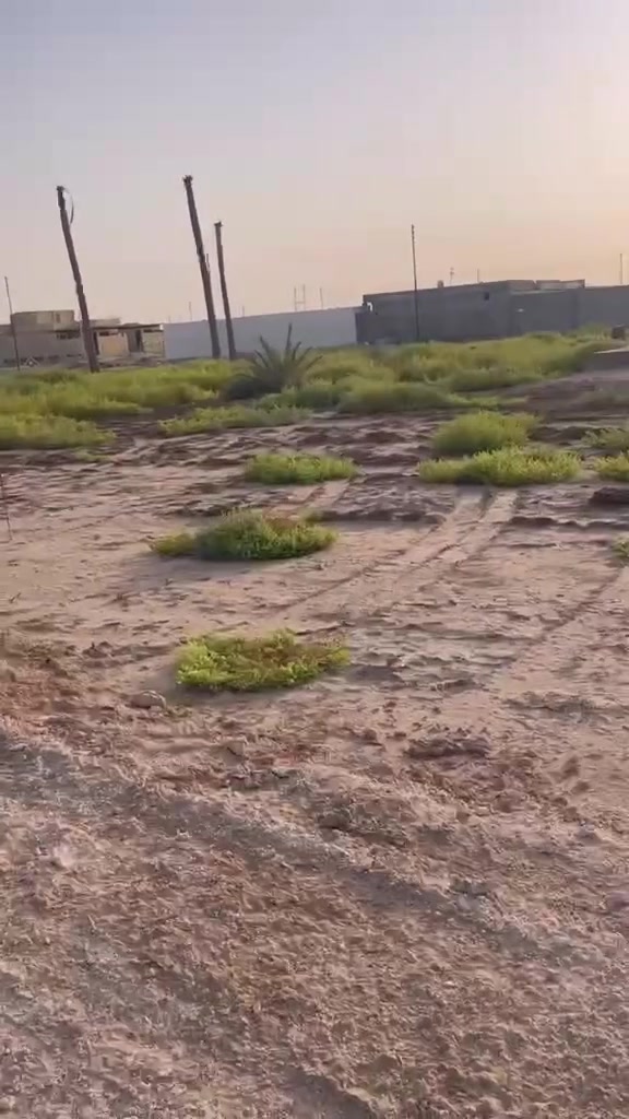 سلام عليكم
١٠٠٠ متر للبيع طابو أسهم ع شارعين الواجهه ٢٠ والنزال ٥٠ متوفر كافه الخدمات ماء وكهرباء وشوارع نظاميه 10 متر العنوان نهايه شارع السفينه خلف مدرسة الواثق للاستفسار التواصل ***********
