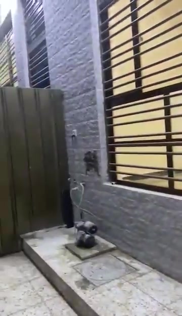 بيت للايجار في منطقة الشعب / شارع حي عدن - خلف متوسطة صلاح الدين سابقاً /قرب سوق الصبح /المساحة ٨٠ متر ارضي فقط يتكون من صالة ومطبخ وخدمات ومنور وغرفة واحده  جديد
سعر الايجار ٤٥٠ الف دينار 
للاستفسار الاتصال على الرقم 
***********
بيت للايجار في منطقة الشعب / شارع حي عدن - خلف متوسطة صلاح الدين سابقاً /قرب سوق الصبح /المساحة ٨٠ متر ارضي فقط يتكون من صالة ومطبخ وخدمات ومنور وغرفة واحده  جديد
