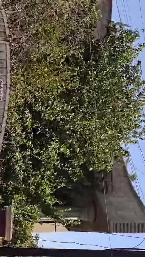 دار للإيجار – بغداد / حي حطين موقع مميز جدا 
📐 المساحة: 420 متر
🏠 دار طابقين بواجهة حجر مميزة

🔹 يحتوي على:
• 3 غرف نوم
• غرفة نوم بالطابق الأرضي
• غرفتان نوم + هول بالطابق الأول
• صالة استقبال كبيرة
• هول واسع
• مطبخ أرضي
• 3 صحيات
• حديقة أمامية 🌿
• حديقة خلفية 🌳
• حديقة خارجية
• كراج واسع يستوعب  4 سيارات الى 5  🚗

⚠️ الدار يحتاج إلى ترميم، ويمكن إجراء الترميم عن طريق مبلغ الإيجار وحسب الاتفاق مع المالك.

✨ العقار مناسب جداً للاستثمار التجاري مثل:
🏫 روضة أهلية
🏢 شركة أو مكتب
📚 معهد دروس تقوية وغيرها من الشركات
أو أي مشروع يحتاج إلى مساحة كبيرة وموقع مميز.وايضا مناسب للسكن العائلي 

📍 الموقع: بغداد – حي حطين

📞 للاستفسار والتفاصيل ***********

