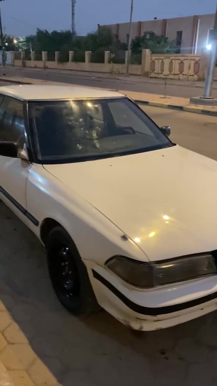 مارك • ٢.٥ • بدون صبغ