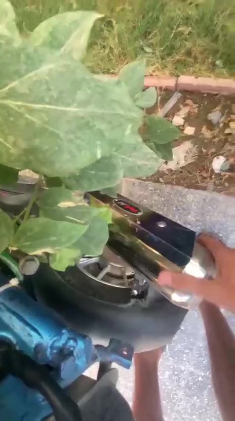 سلام عليكم دراجه ماكس عدله البيع دراجه حلوه نضيفه محرك ممفتو بوشه 49 دراجه خير من الله حلوه مال لعب وياله بلاد مو تجاري سلف بلادي صالنصه ستيل صوت حلو السعر 375بيهه مجال بصيط حك جيه تواصل واتساب ***********
