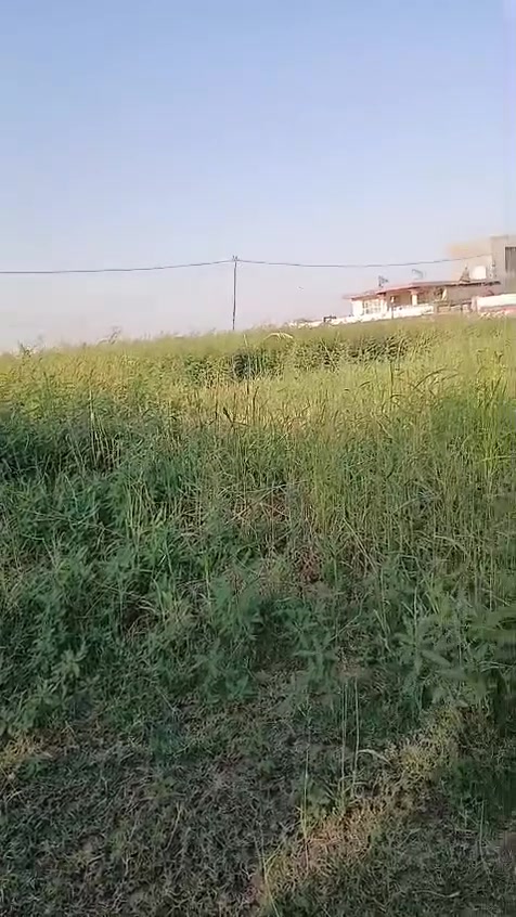 *********** كاع خمس دوانم بمشروع شضيف قرب معمل سوس ع شارع العام ينزل عليه شارع تبليط طابو صرف بيه بيتين بناء حديث كاملات من داخل سيراميك الارضيه والجدار تم بناء ٢٠٢٣لبيع
