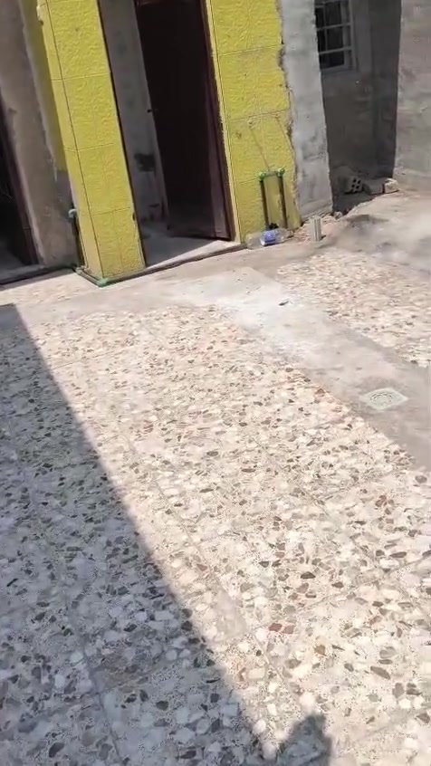 بيت للايجار في منطقة النواب قرب مدرسه الغفران علا الشارع
للتواصل ***********
