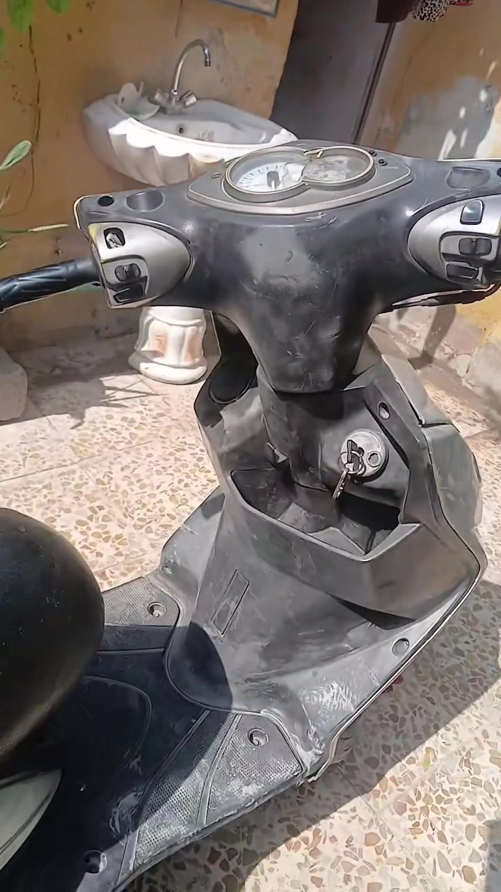 سكنس فحل • نوزل كوري • ترتيب بسيط