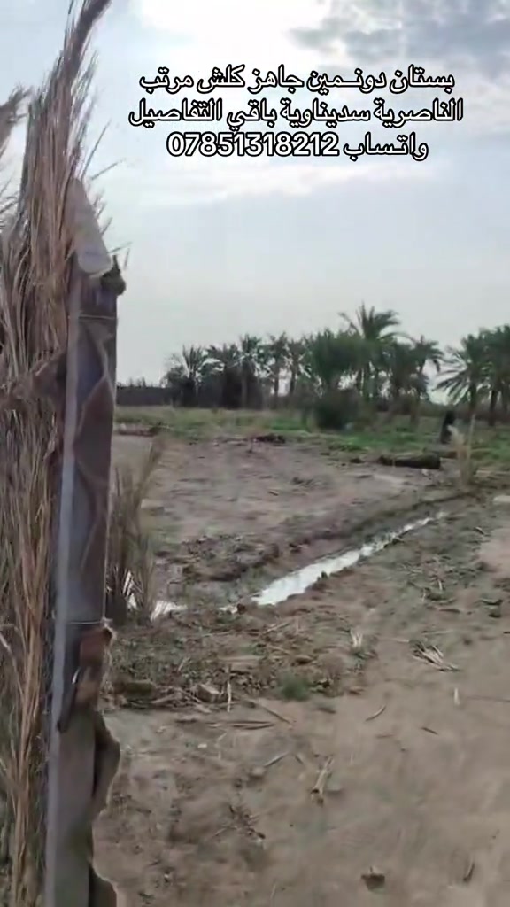 بستان دونم وثلث • ٢٦ نخله • منظومة ري