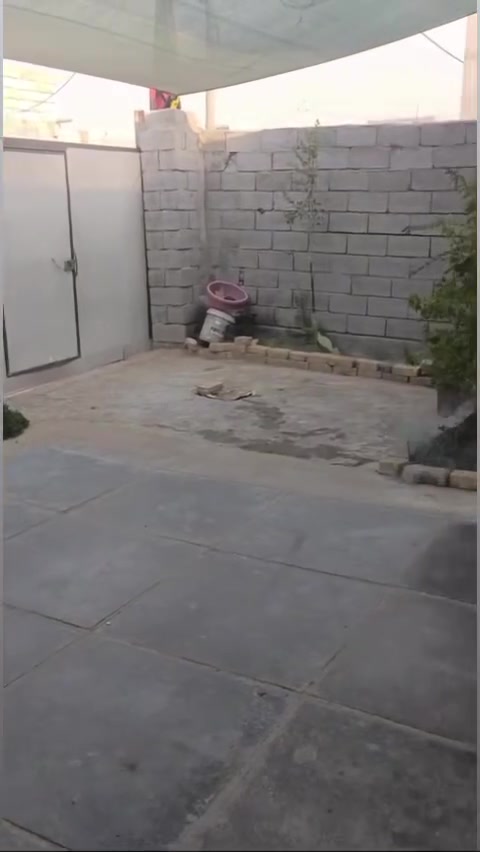 بيت للبيع كرمه علي السده الناصيه المساحه ٢٠٠
متكون من ٣غرف ودوانيه وهول ومطبخ وصحيات للتواصل***********
