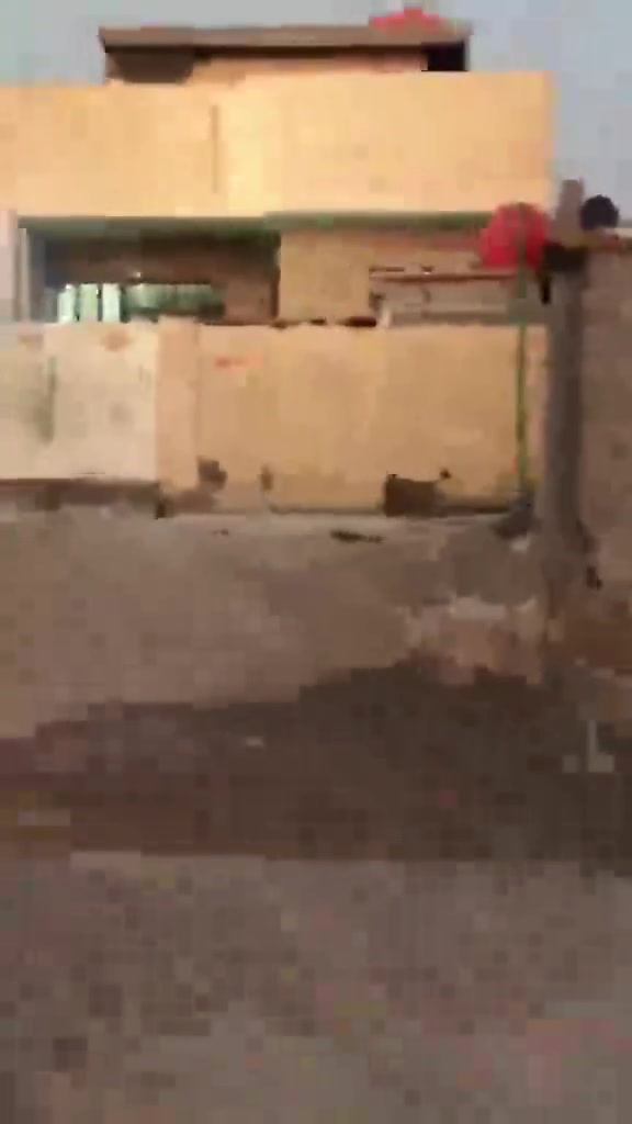 سلام عليكم بيت زراعي خلف السده مقابيل شارع ابو هيثم المساحه 150 متر هاذه رقمي *********** ما متواجد عل فيس

