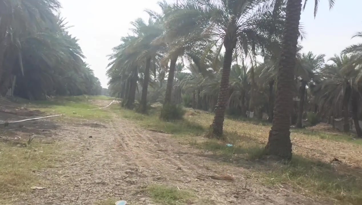 دونمين • طابو زراعي • كربلاء طوريج