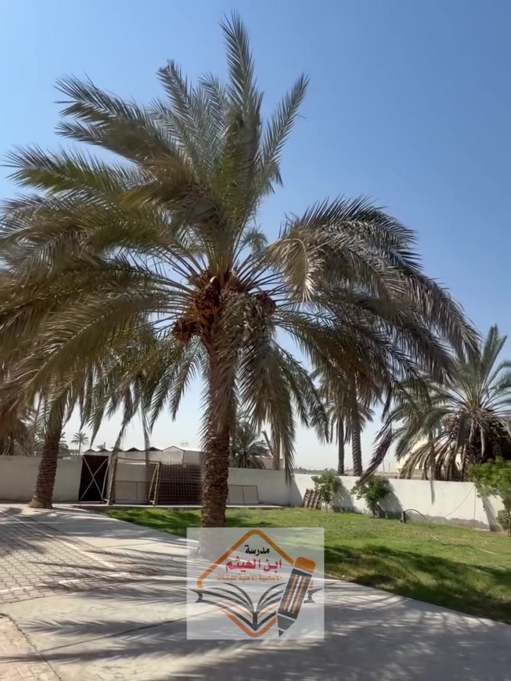 صور تلاميذنا وتلميذاتنا اثناء استلامهم الزي المدرسي ✨متواجدين طيلة ايام الأسبوع من عدا الجمعة والسبت من الساعة ٨ صباحاً إلى ١٢ ظهراً ✨
#سيتم استلام القسط الأولي وتوزيع الكتب لمن فاتهم الحضور بالأيام السابقة 
يسعدنا استقبالكم ونتمنى لطلابنا عام دراسي مكلل بالنجاح والتوفيق ✨ 
#مدرسة_ابن_الهيثم_الاساسية_الاهلية 

#احنه_مو_طلاب_عاديين 
#احنه_طلاب_ابن_الهيثم

​📞 للاستفسار والتسجيل:
​العنوان: [ناحية الرشيد حي العسكري نهاية شارع الكهرباء ]
​رقم الهاتف: [*********** ]
