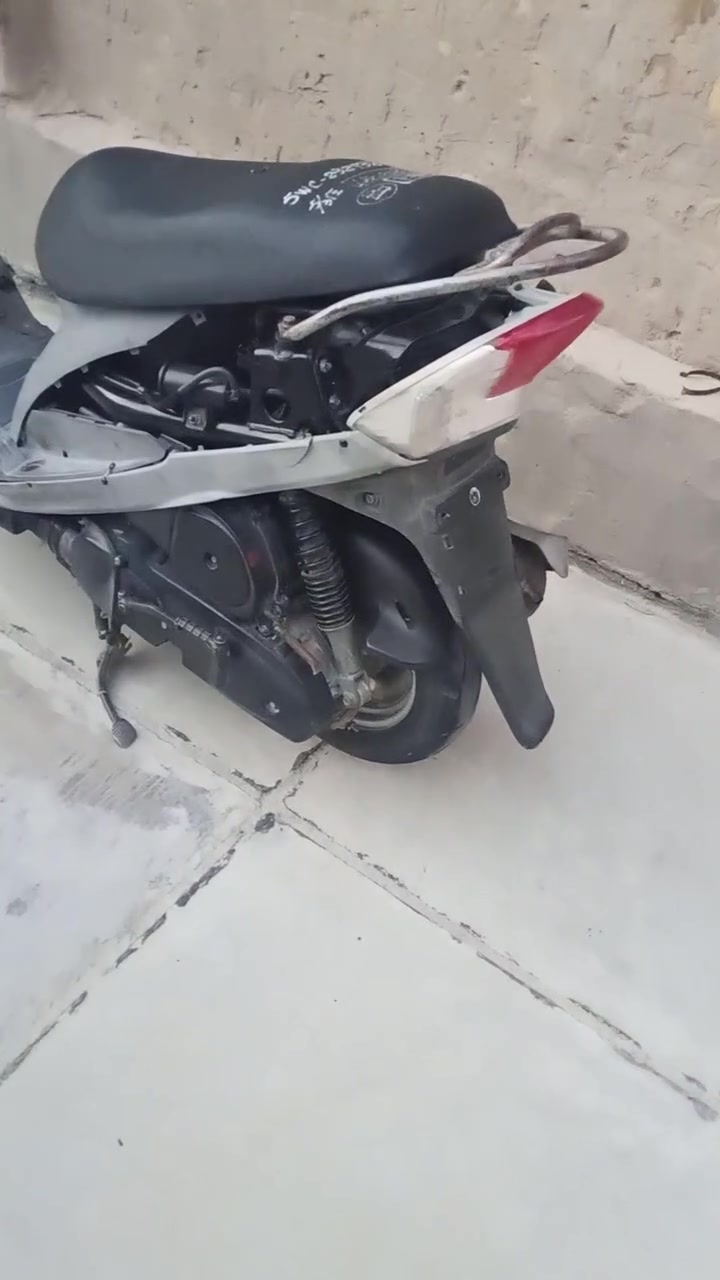 منغولي • نضيف • سلف