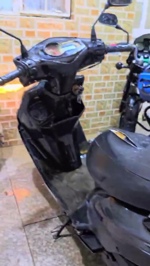 سكنس • صيني • ياباني