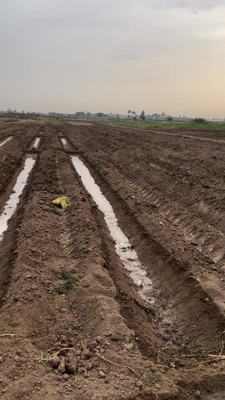 السلام عليكم ورحمة الله وبركاته 

ارض زراعية ملك صرف (حق التصرف)

في اليوسفية (الشارع الثاني بئر الحمام) 
المساحة:10 دونم الارض صالحة للزراعة 
تصلح كل شيء 

عليها شارع من ثلاثة جهات فيها ماء نهر سيح 
فيها كهرباء 

تُبعد عن الشارع العام 200 متر 
ملاحظة (اني صاحب الأرض) 
تفتح بيان ثاني والأرض تتحول بأسمك 

للتواصل خاص أو الأتصال على الرقم 

‭***********‬ يوجد واتسأب
