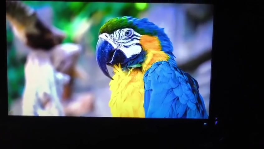 سلام عليكم 
شاشة سامسونج Tn 24
 ٧٥ هرتز
سعرها ٦٥ مع التوصيل كافة محافظات العراق

للتواصل واتساب:
***********
