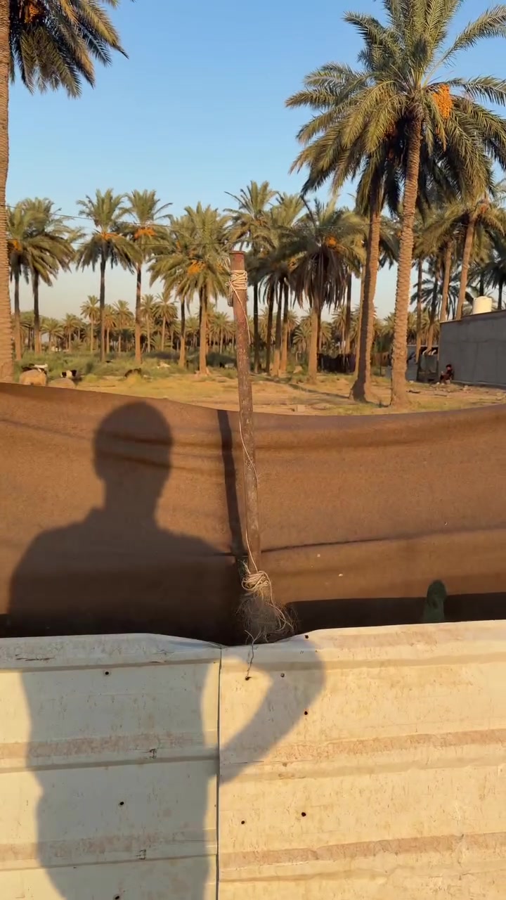 اللهم صلي على محمد وال محمد
فطع ارض طابو زراعي سند ٢٥
نحويل مباشر ثاني يوم من طابو المحمودية منطقة هور رجب مكان الارض جداً مميز

مساحه الارض : نص دونم واجهة ١V
بسعر مناسب
الاتصال ***********
