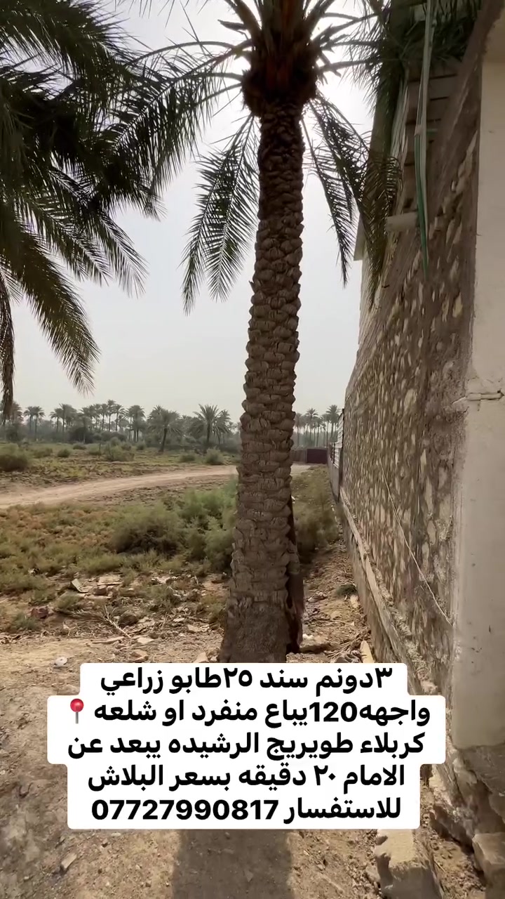 طويريج الرشيده • ٧٥٠٠م • أرض