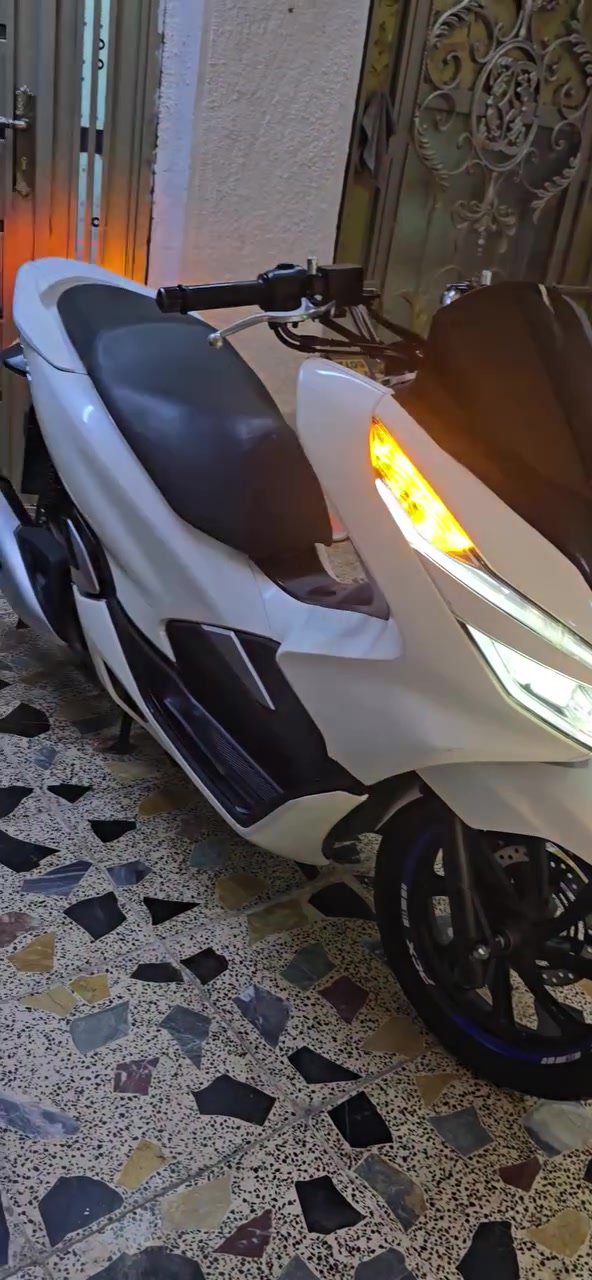 PCX • ١٢٥ • ٢٠٢٠