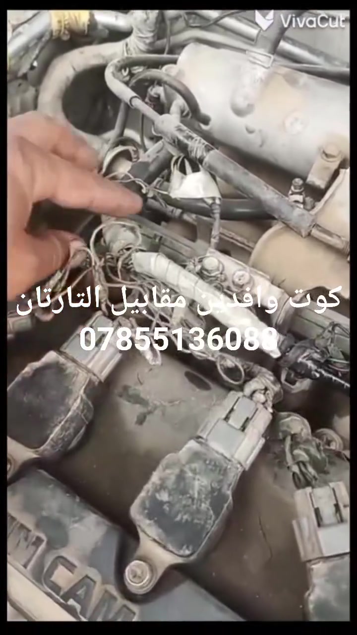 كوت وافدين • مقابل التارتان • خدمات سيارات