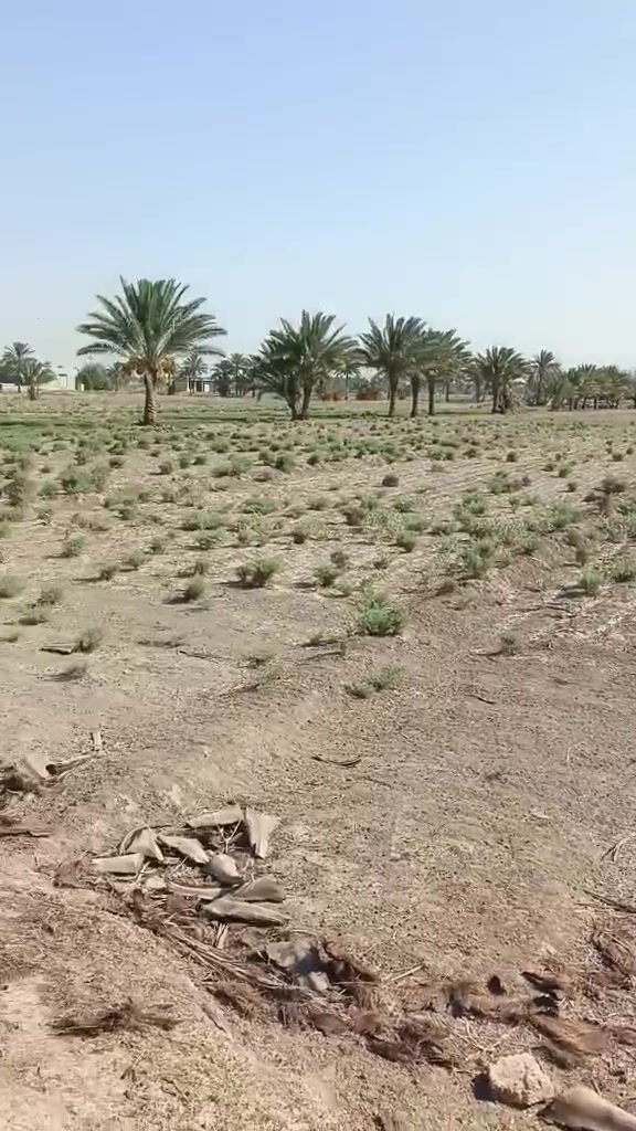 كاع تصلح لزراعه قرب مجمع الكوثر السكني يبعد عنه 3كيلوات دونمين ونص***********
