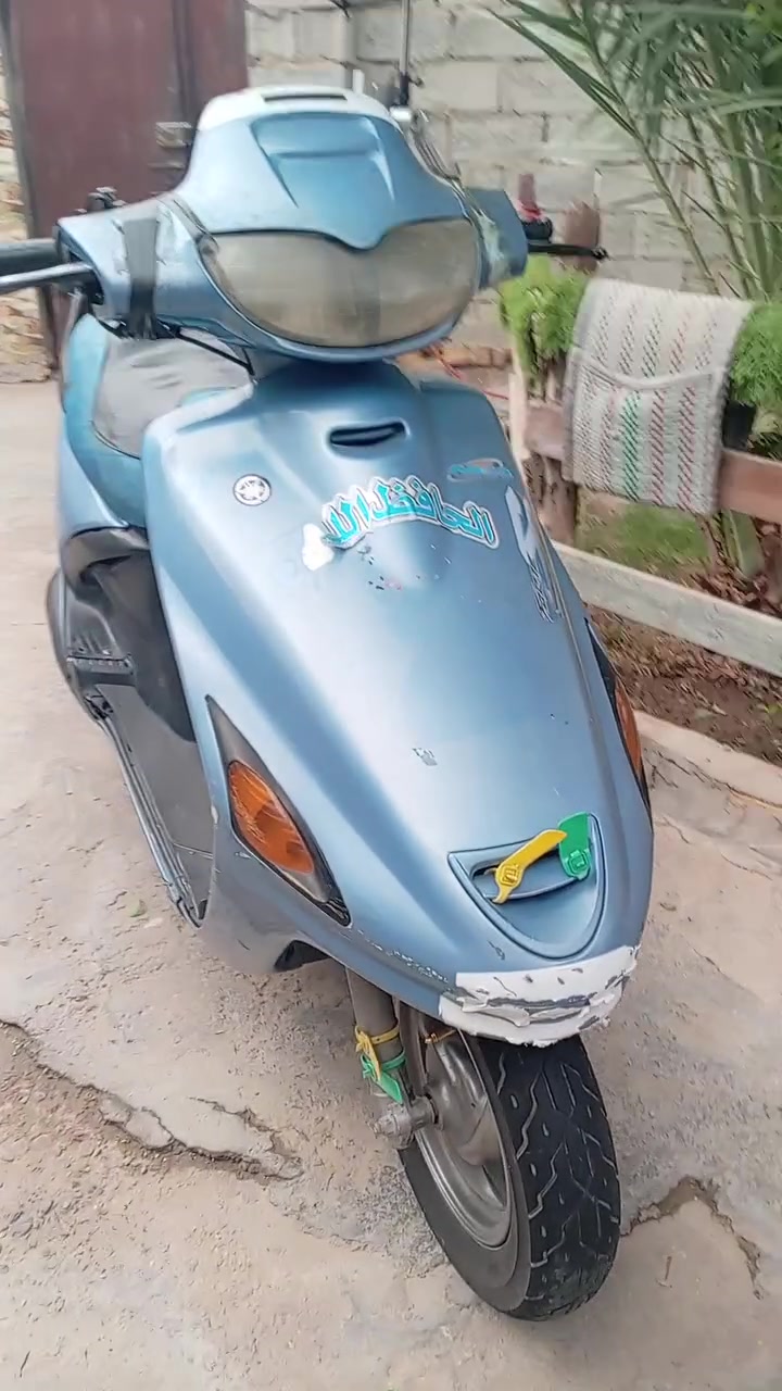 فراشة فحل • بيها مجال