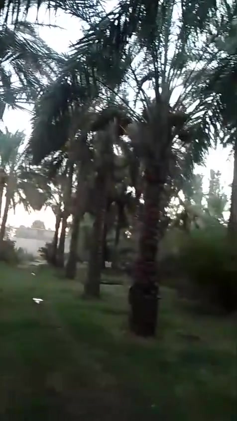 الاستفسار عله هاذه رقم ***********
